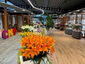 CNB Leliedagen 2025