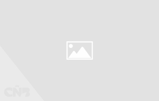 Foto van Voorsorteerder- rollensorteerder-Schouten