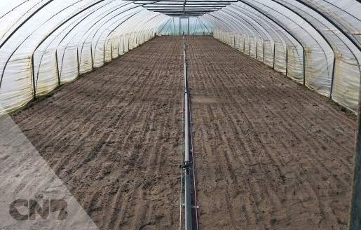 Foto van Diverse tunnelkassen