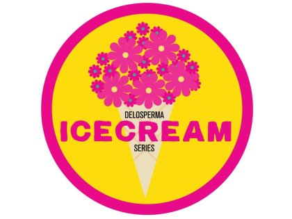 Kweker logo/image: Delosperma Ice Cream™ serie