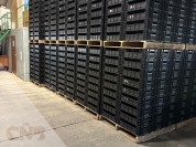 Foto van Pareltrays-KPI