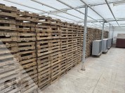 Foto van Houten onderzetters 75x50