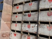 Foto van Kuubskisten