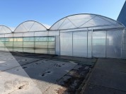 Foto van Foliekas-Rovero