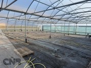 Foto van Foliekas-Rovero