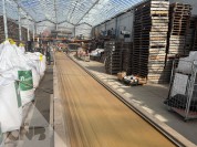 Foto van Transportband-Bercomex