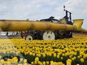 Foto van Veldspuit-Sieger