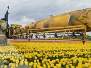 Foto van Veldspuit-Sieger