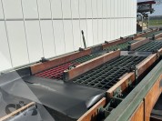 Foto van Compas LD8EB7 sorteermachine voor bloembollen en s